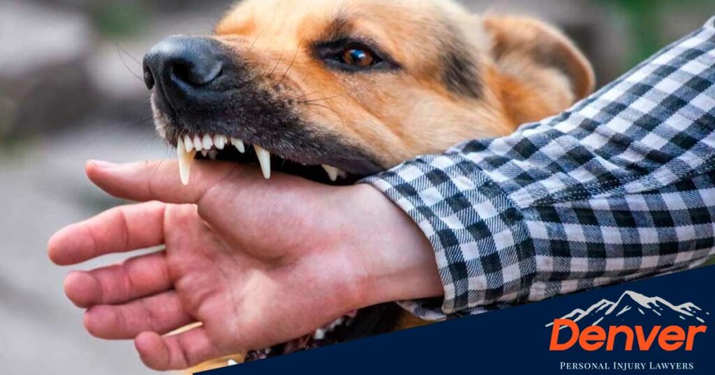 Should You File An Insurance Claim For A Dog Bite?